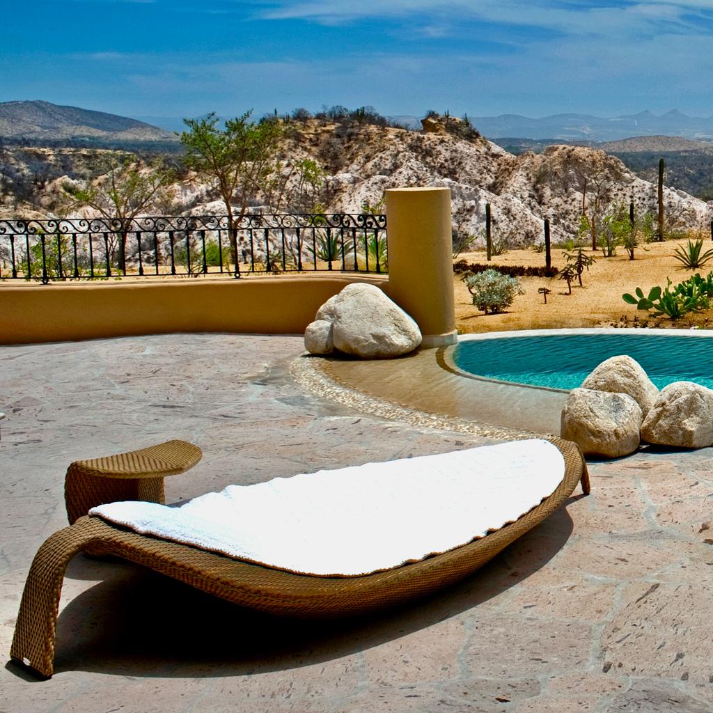 Dedon Furniture Leaf Beach Chair Loungers