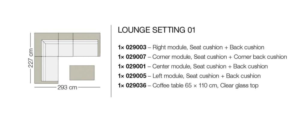 Dedon Furniture Lounge Setting 1