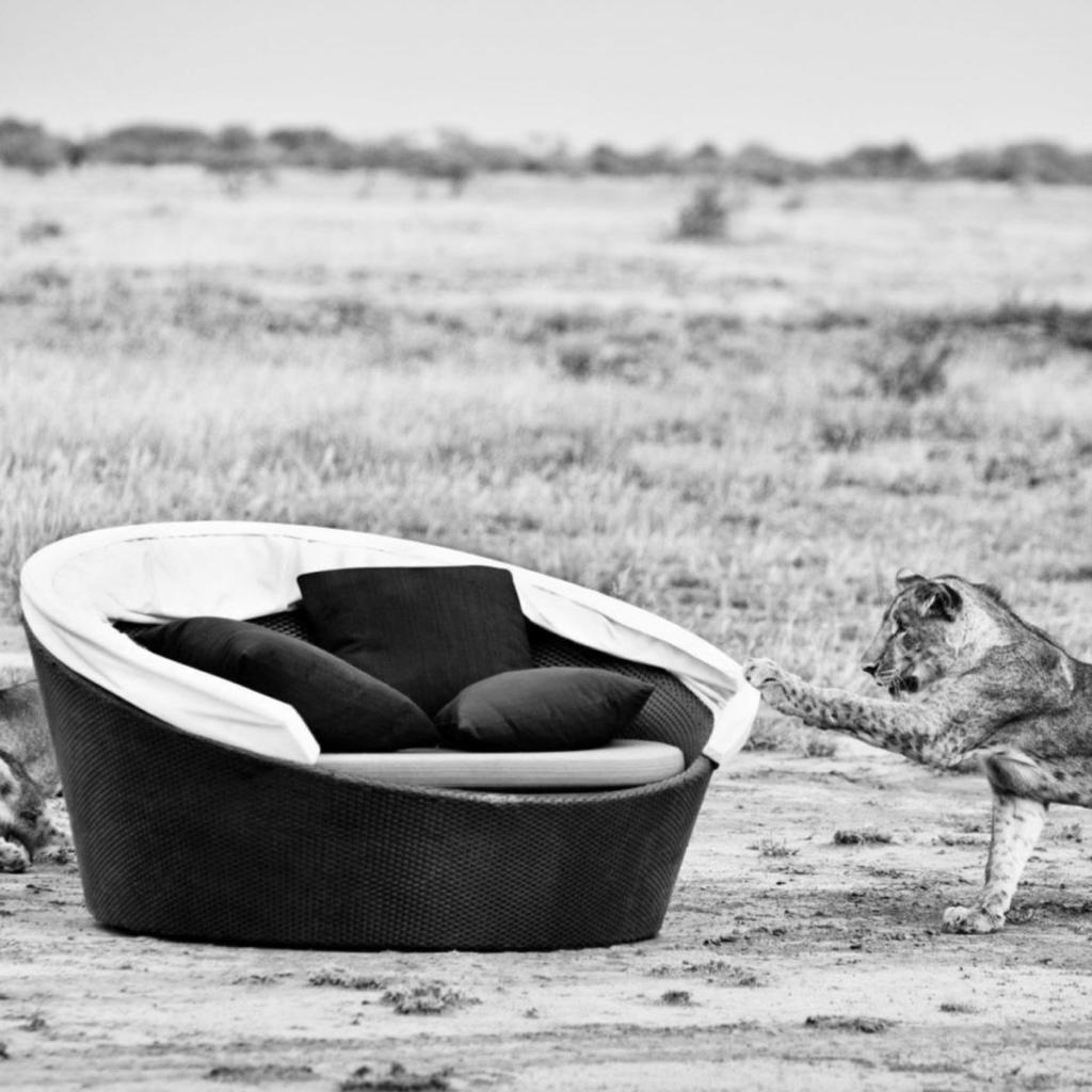 Dedon Furniture Orbit XXL Daybed
